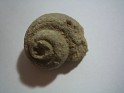 Unknown  Spain. Uploaded by Granotius